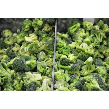 Frozen Baroccoli  (41)-5714056-80672.webp
